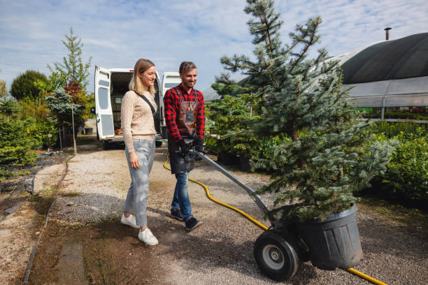 Best Palm Tree Trimming  in Millport, AL